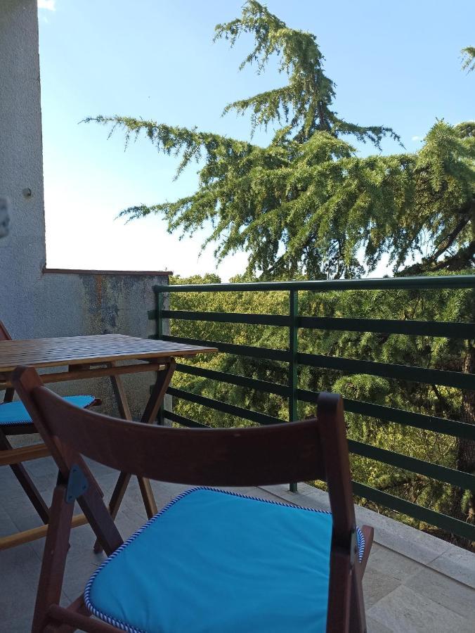 Apartman Pecine Rijeka Buitenkant foto